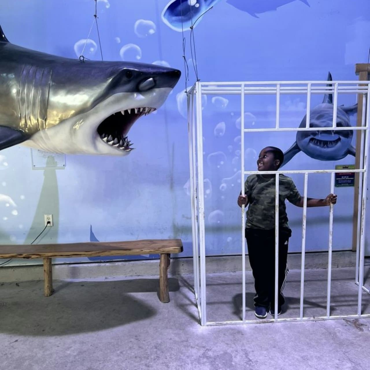 Houston Interactive Aquarium & Animal Preserve Ticket - image 6