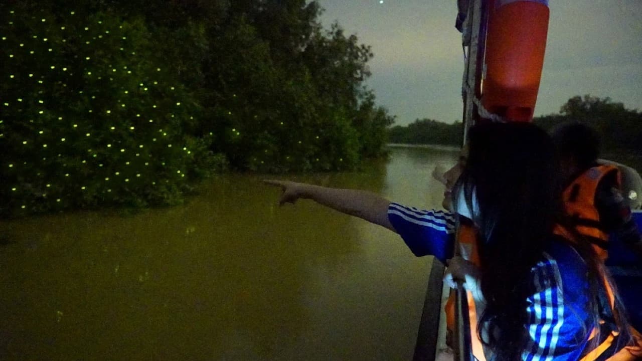 Fireflies Boat Cruise in Kuala Selangor - imagen 2