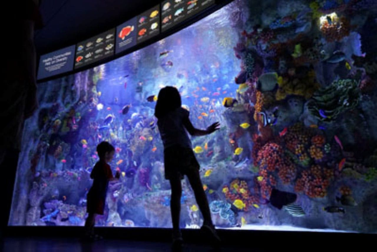 Entrada al New England Aquarium - imagen 3