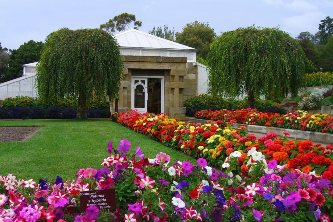 Sullivan's Cove and Hobart City Tour - 이미지 6