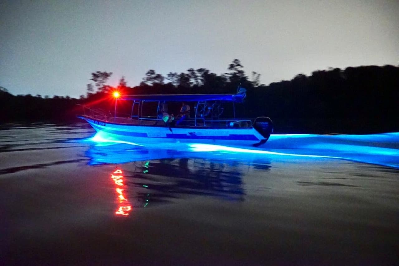 Blue Tears Boat Cruise in Kuala Selangor - image 7