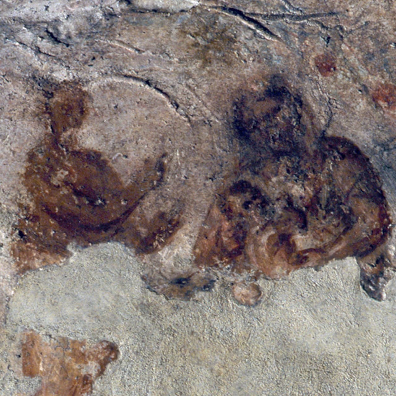 Priscilla Catacomb - image 3