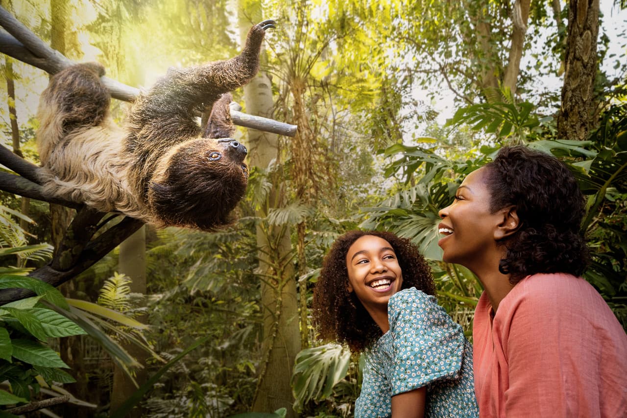 Go City San Diego All-Inclusive Pass Plus: Save up to 50% on Attractions - image 2
