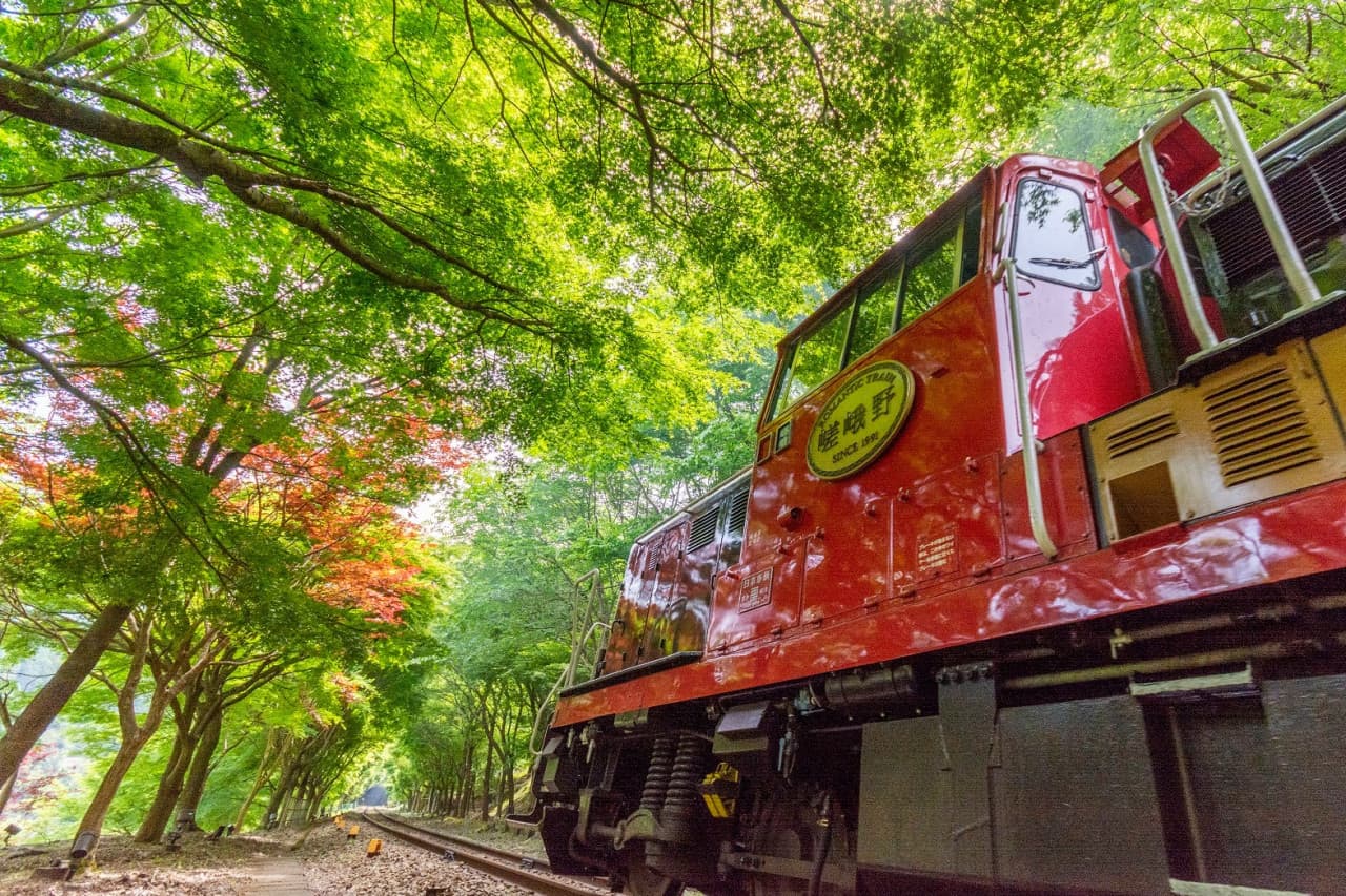 Sagano Romantic Train - image 18