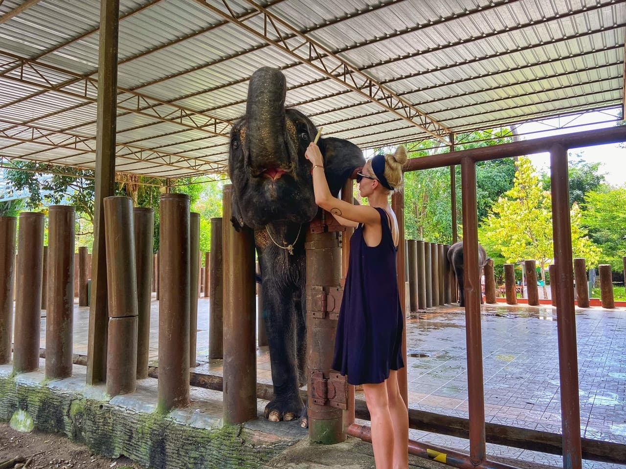 Batu Caves and Kuala Gandah Elephant Sanctuary Full-Day Tour from Kuala Lumpur - image 5