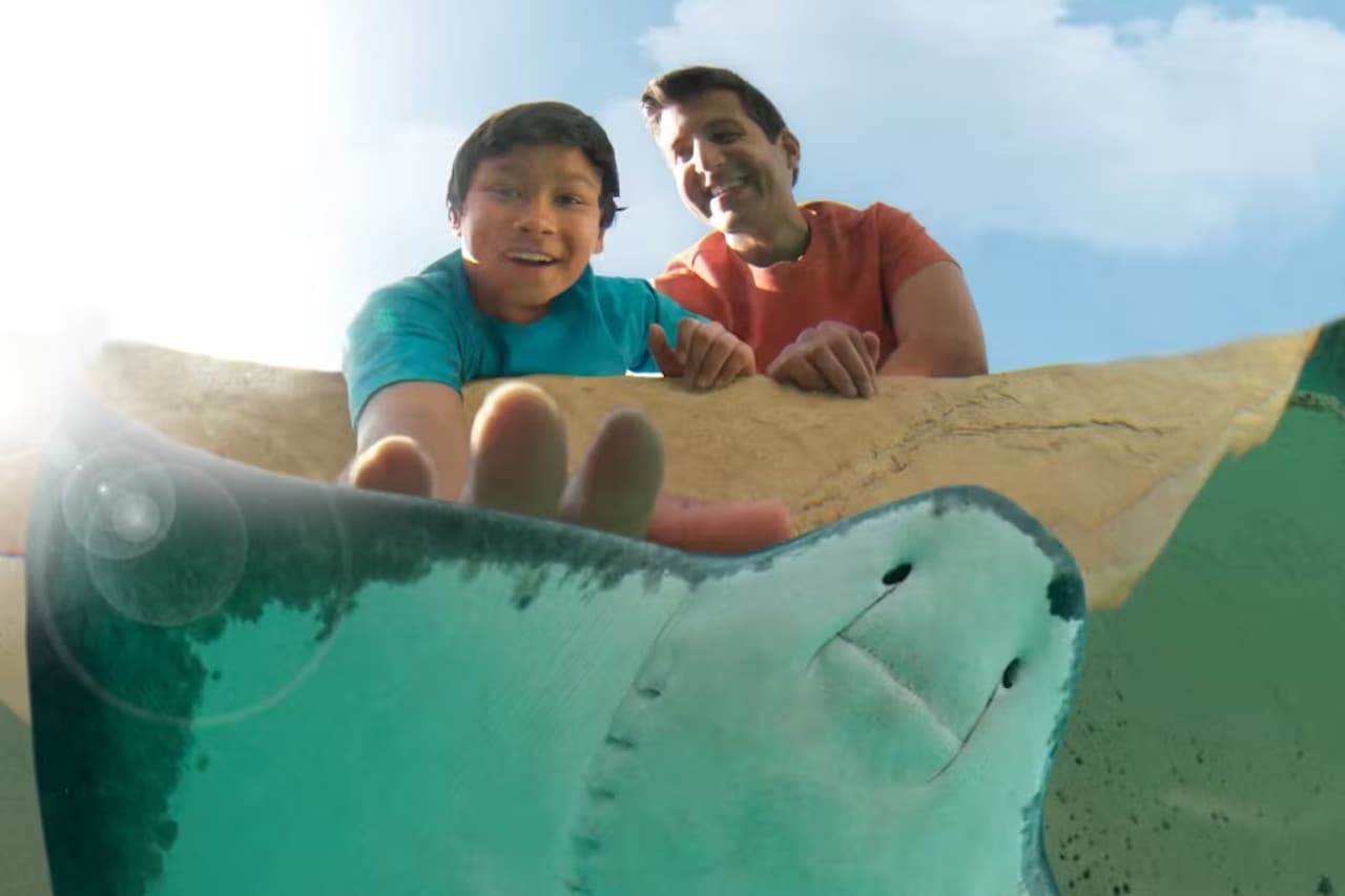 Entrada a SeaWorld San Diego: acceso directo - imagen 14