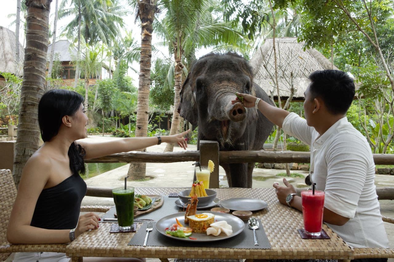 Lombok Wildlife Park - image 8