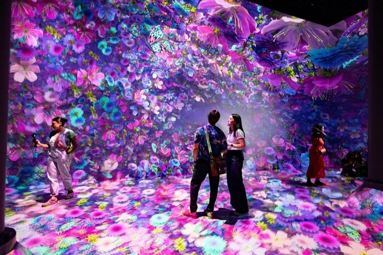 Entrada para ARTECHOUSE New York - imagen 2
