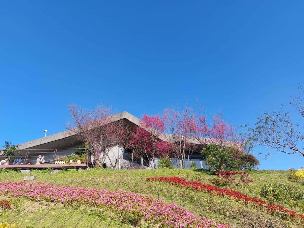 Pinglin Tea Culture and Maokong Full-Day Tour from Taipei - imagen 6
