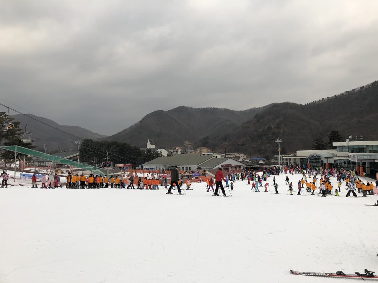 Jisan Forest Ski Resort Full-Day Tour from Seoul - 이미지 6