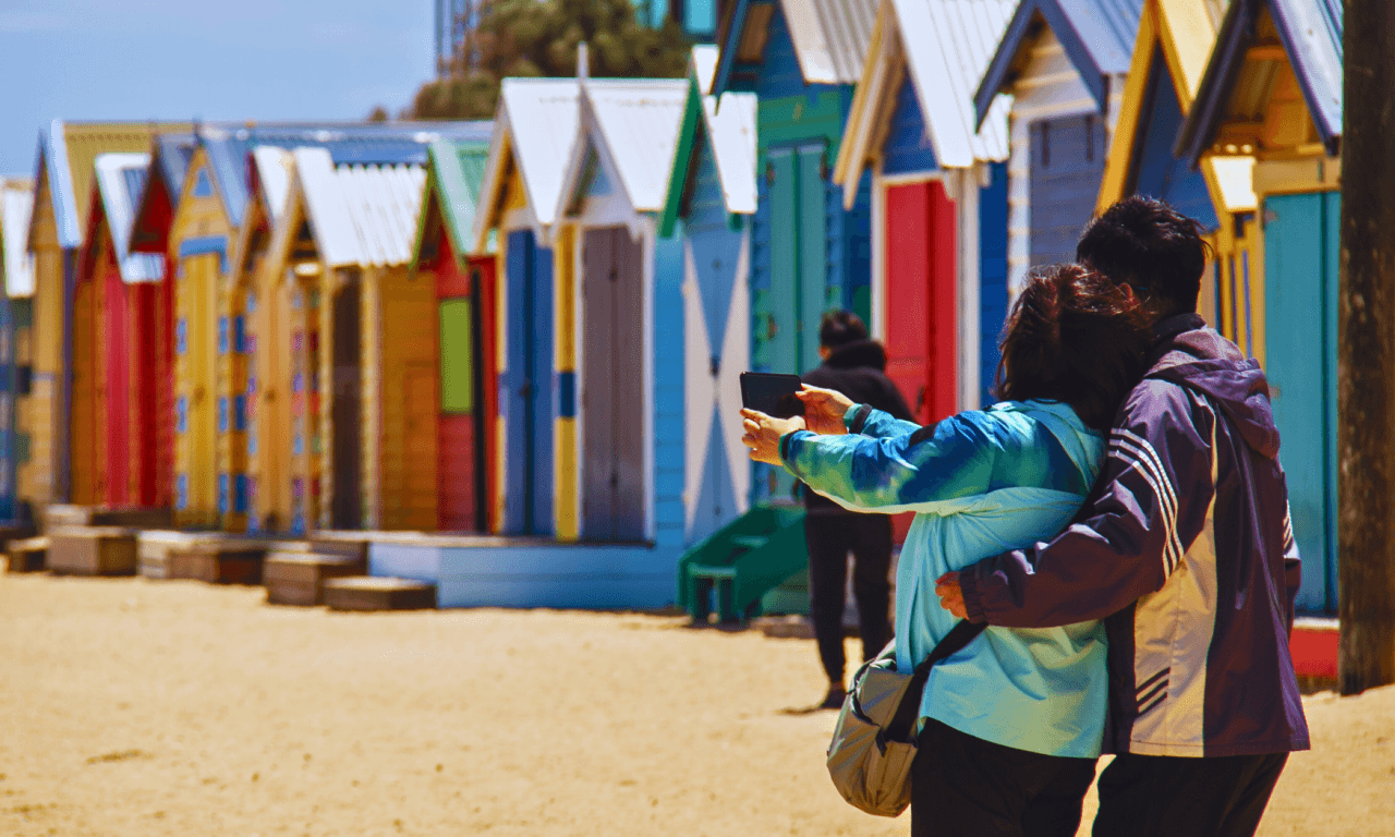 Phillip Island with Penguin Parade Eco Tour - imagen 2