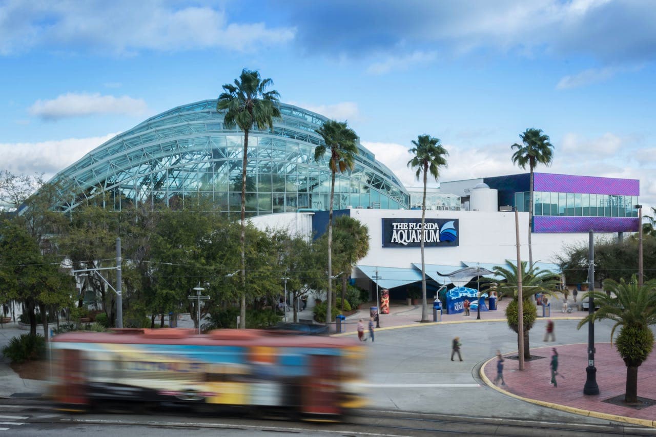 The Florida Aquarium Ticket - main image