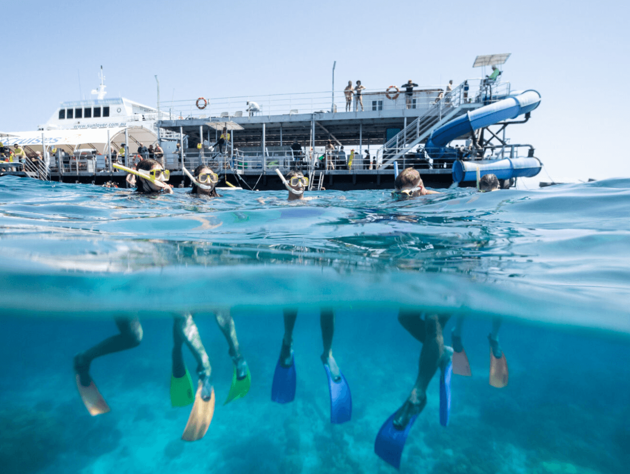 Great Barrier Reef Pontoon Full-Day Tour at Moore Reef - image 3