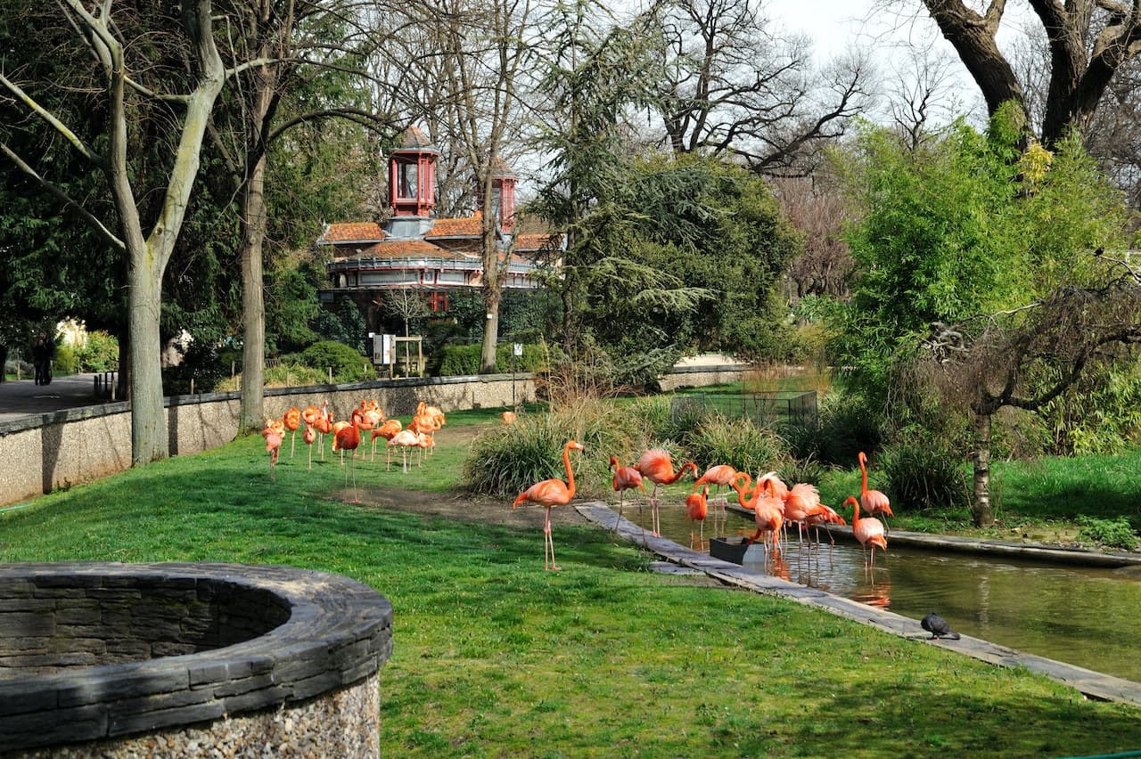 Ménagerie, Zoo of the Jardin des Plantes - image 4