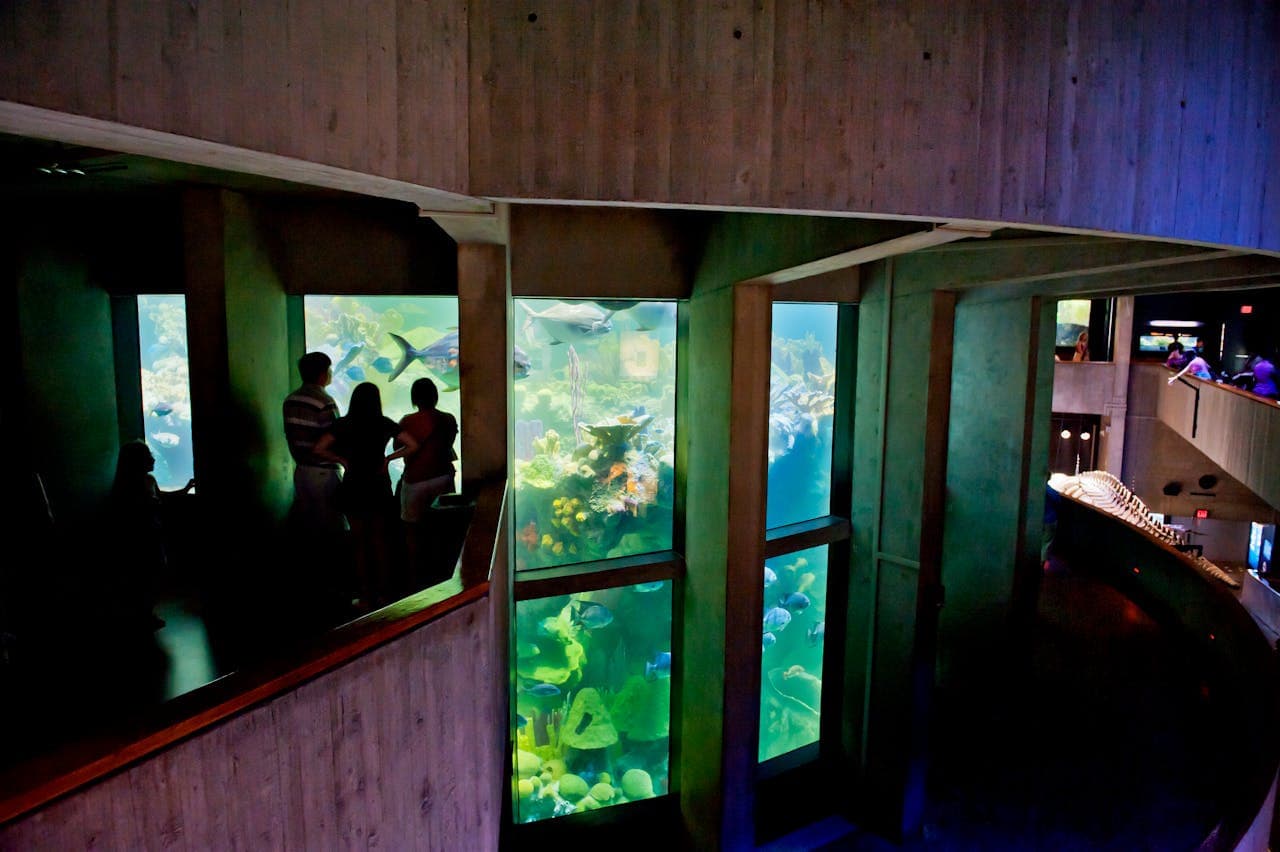 New England Aquarium Ticket - image 11
