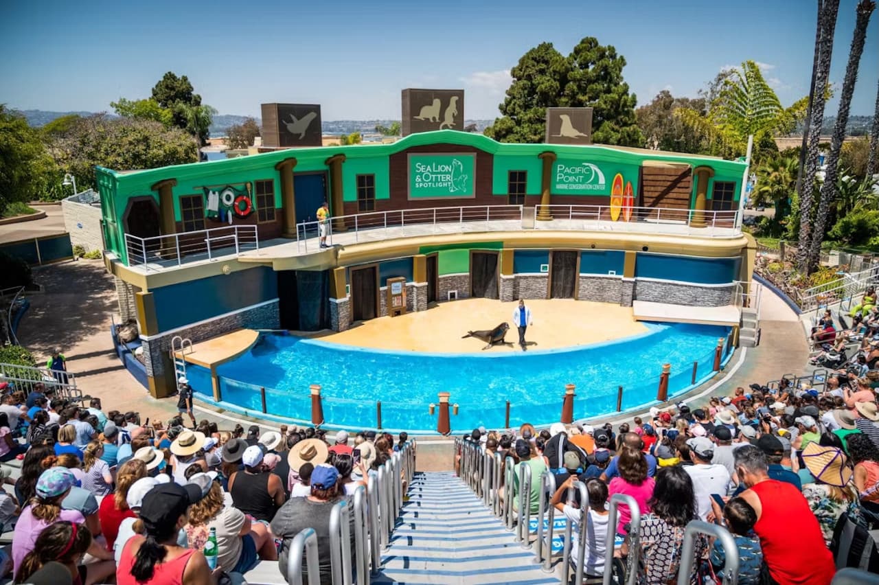 Entrada a SeaWorld San Diego: acceso directo - imagen 12