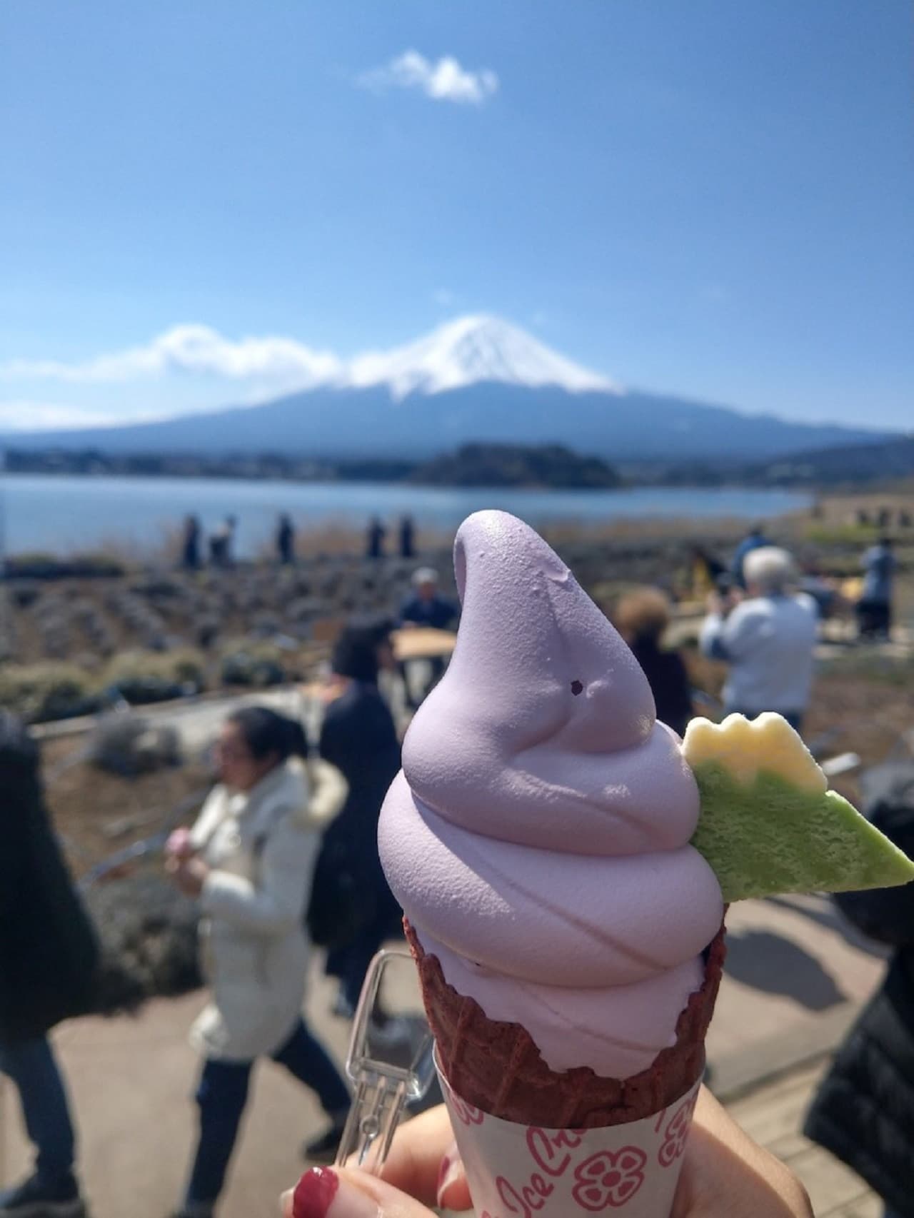 Mount Fuji Day Tour with Kawaguchiko Lake - image 5