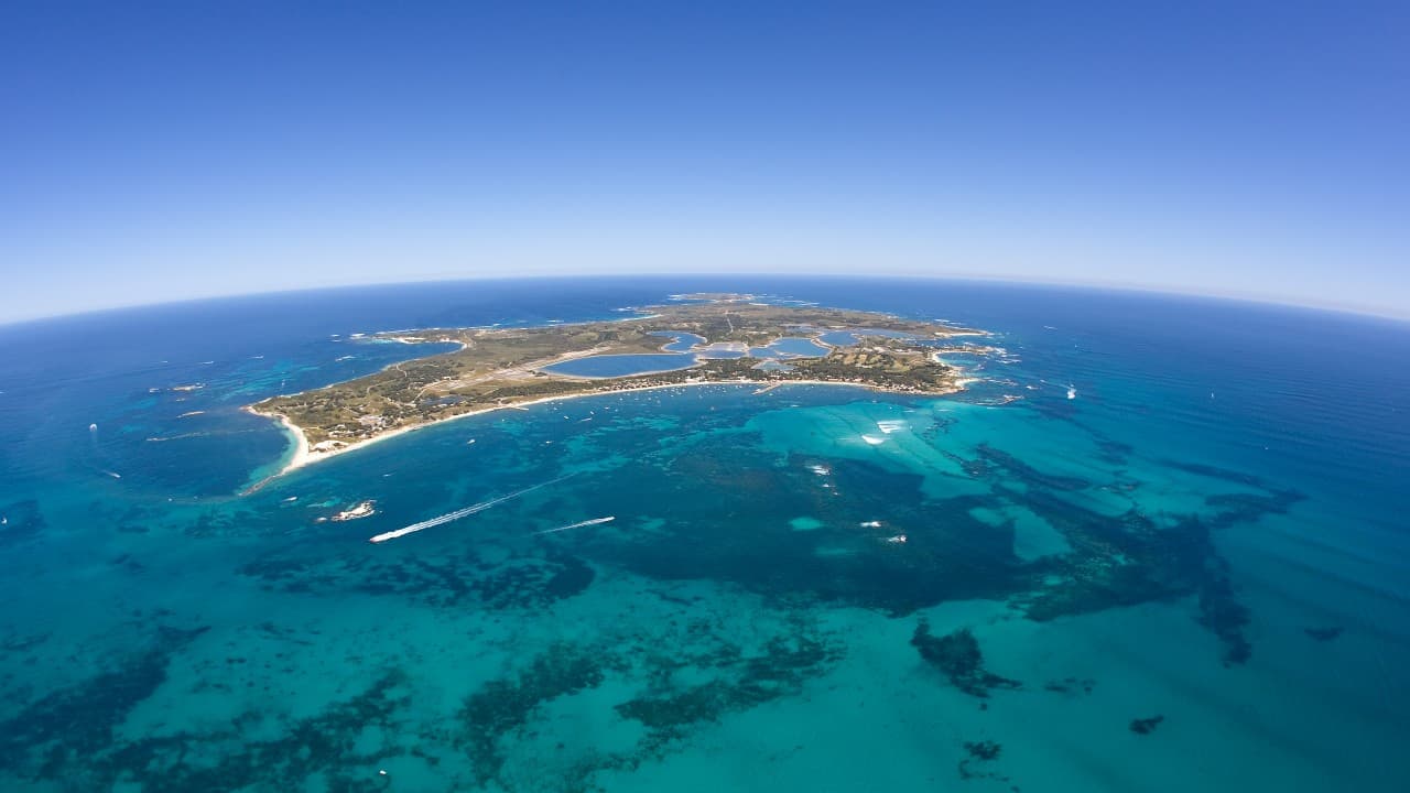 Round Trip SeaLink Ferry to Rottnest Island - imagen 6