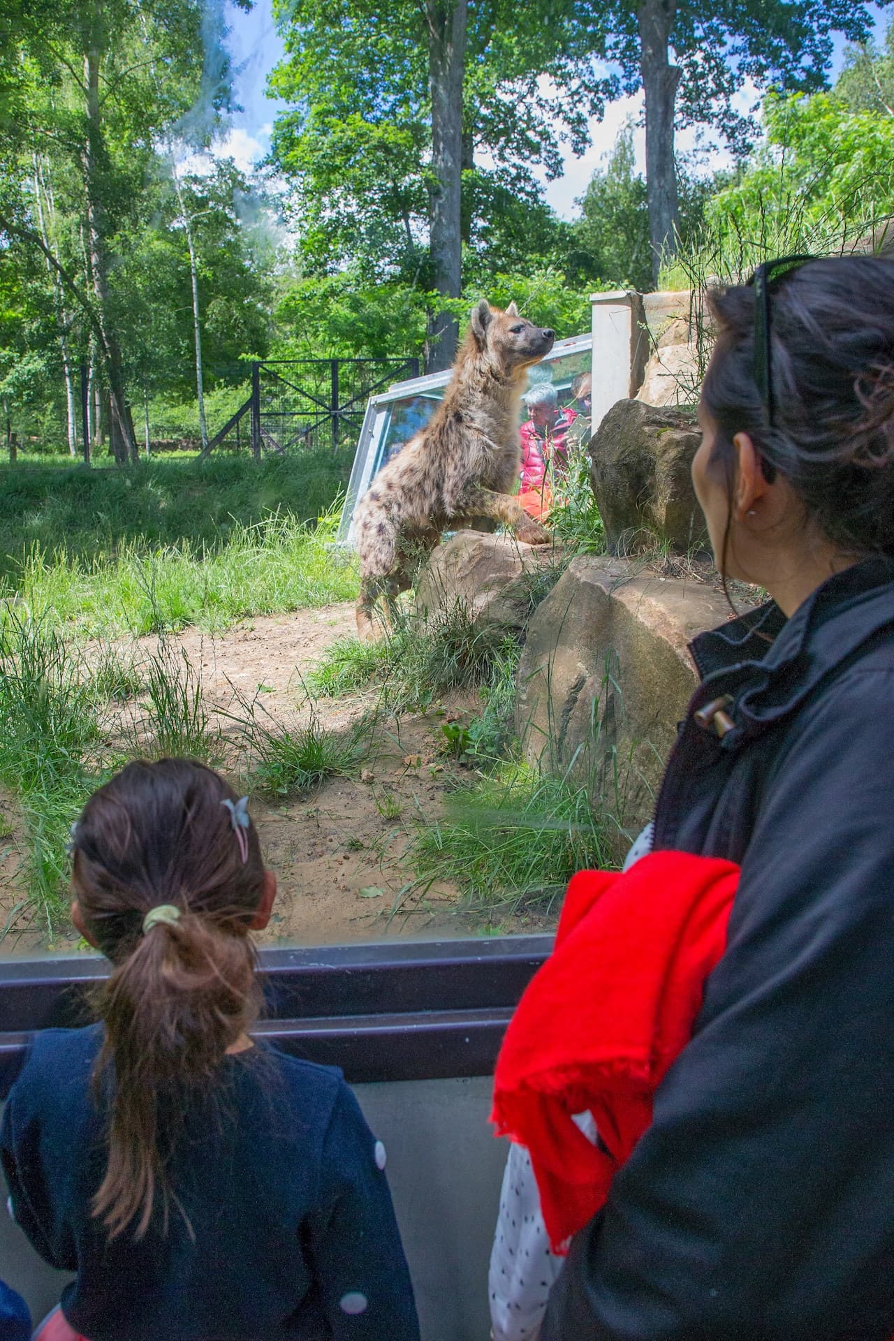 Thoiry ZooSafari: Skip The Line - image 13