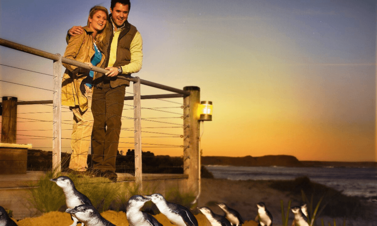 Phillip Island with Penguin Parade Eco Tour - imagen 15