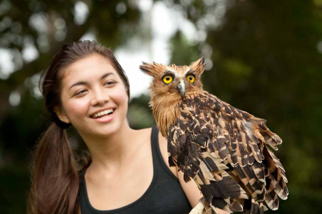 Bali Bird Park Ticket - image 7