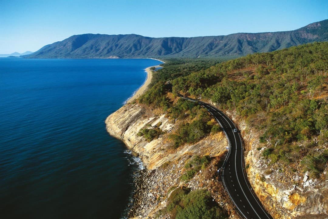 Cape Tribulation and Daintree Wilderness Full-Day Tour - image 12