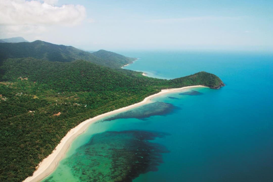 Cape Tribulation and Daintree Wilderness Full-Day Tour - imagen 8