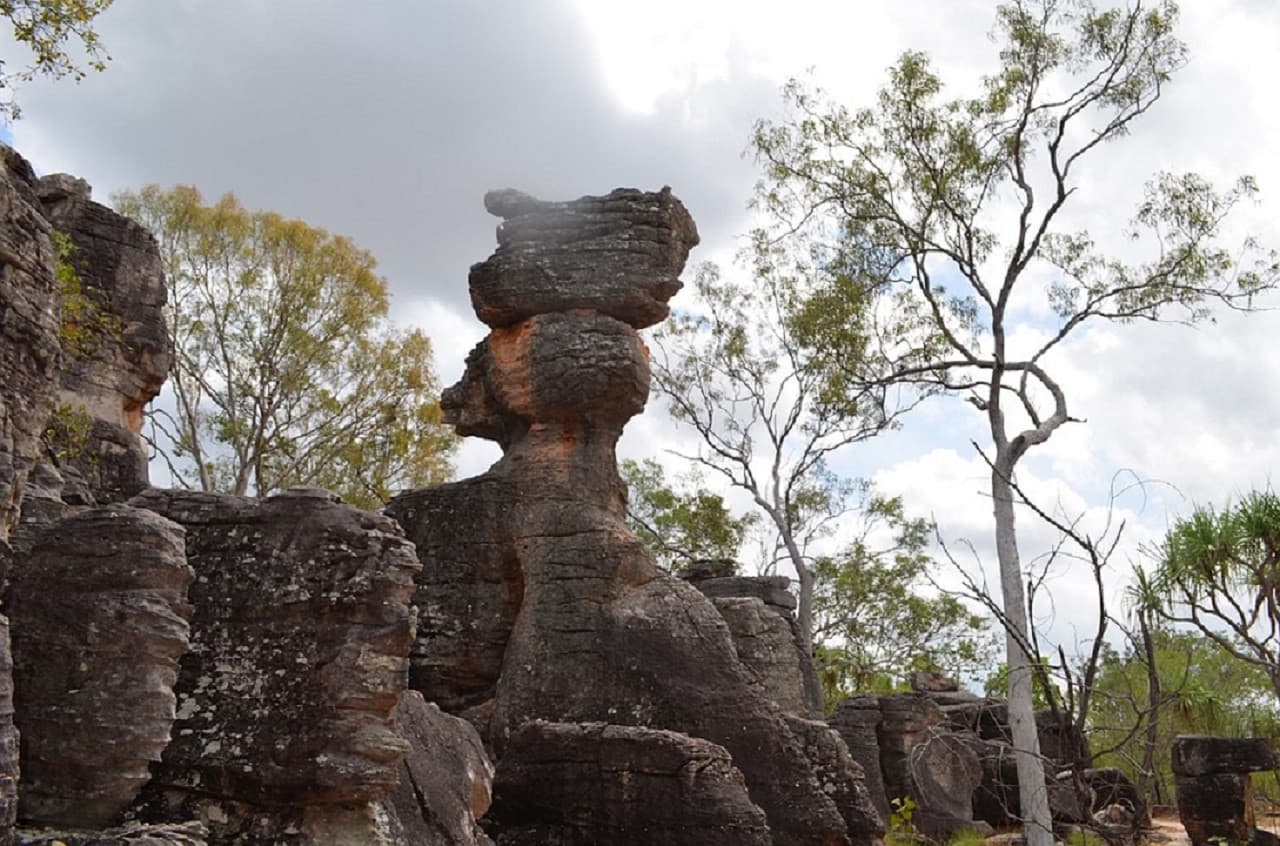Litchfield National Park and Waterfalls Tour from Darwin - imagen 3
