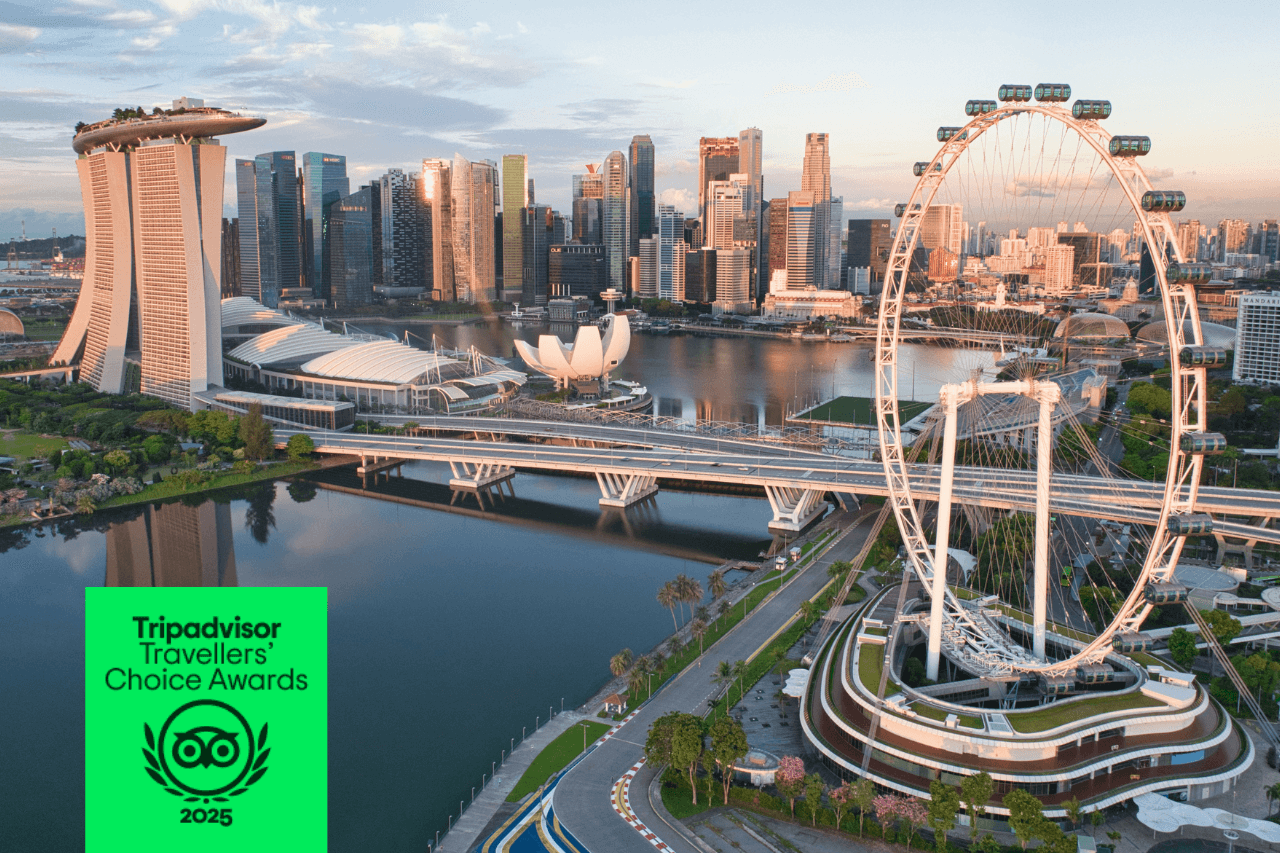 COMBO: Singapore Flyer + Gardens by the Bay Ticket - image 2