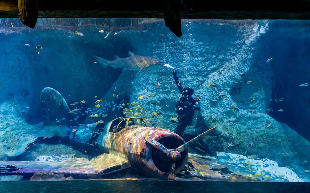 COMBO: The National Aquarium + Louvre Abu Dhabi Tickets - main image