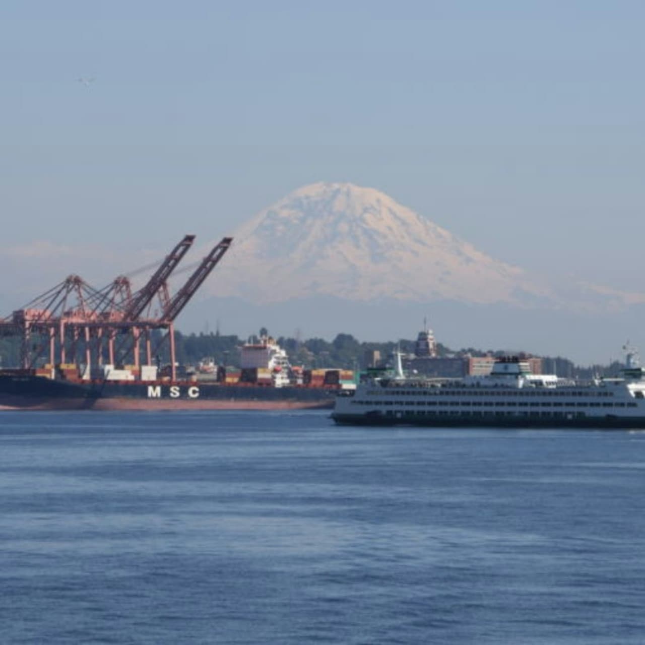 Seattle Harbor Cruise - image 14