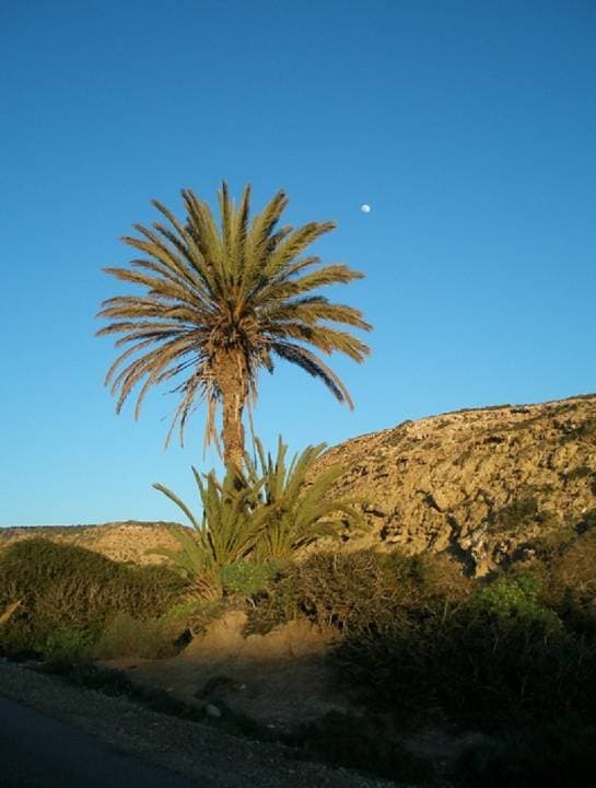 Quad Ride in Marrakech with Round Trip Transfers - imagen 3