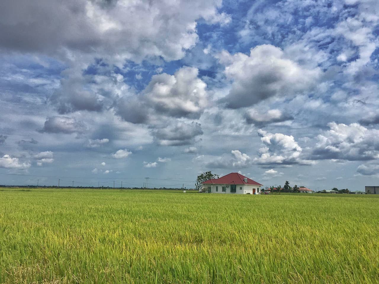 Sky Mirror and Sekinchan Paddy Field Tour from Kuala Lumpur - image 8