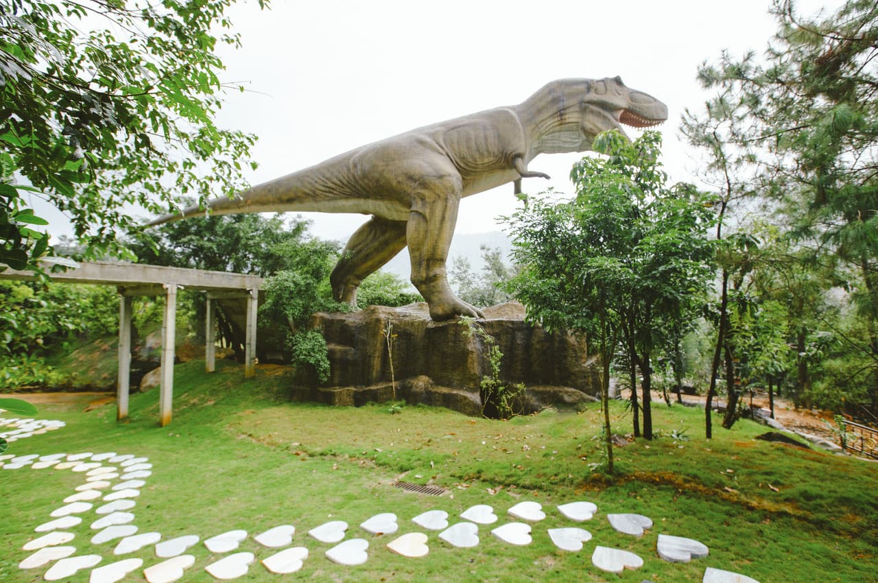 Nui Than Tai Hot Springs Park Tour - image 13