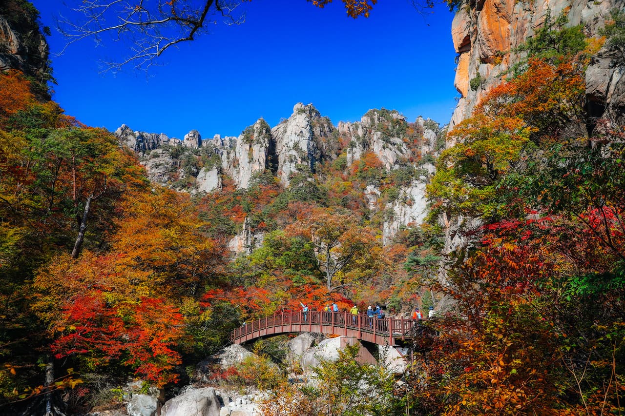 Tour de un día para ver el follaje otoñal en el Parque Nacional del Monte Seorak desde Seúl - imagen 4