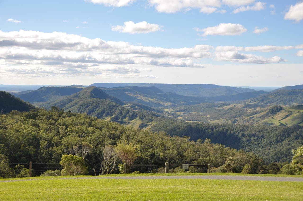 Lamington National Park Tour: O'Reilly's Rainforest Retreat and Canungra Valley Vineyard - 이미지 3