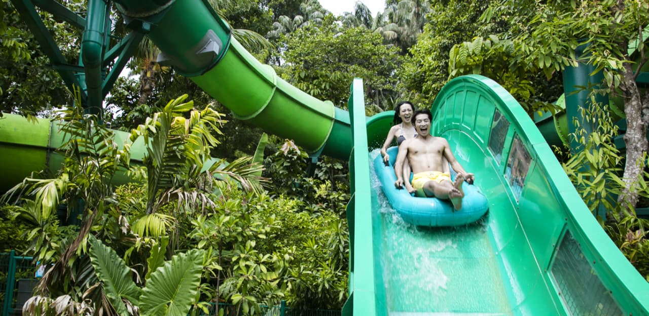 Entrada para Adventure Cove Waterpark - imagen 4