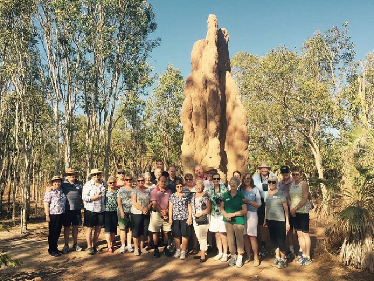 Litchfield National Park and Waterfalls Tour from Darwin - image 8