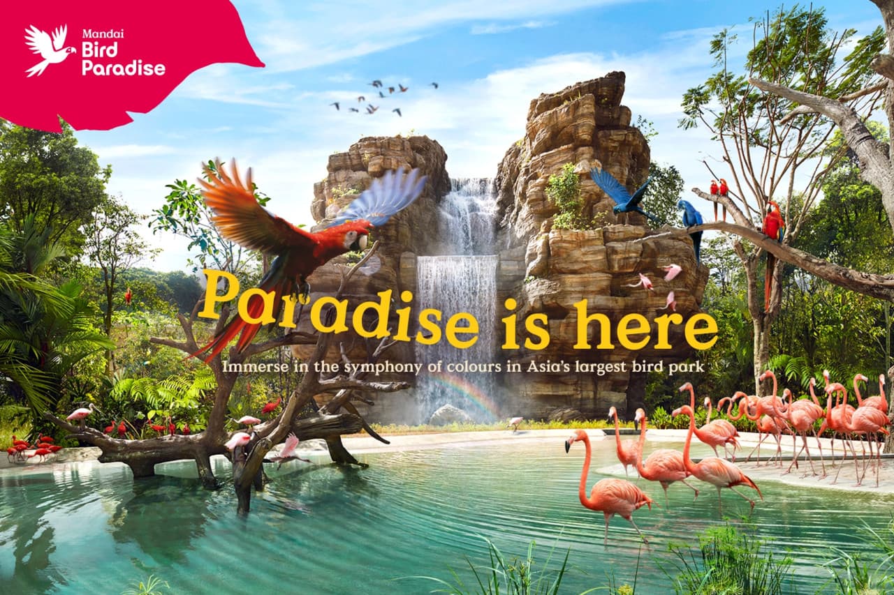 COMBO: River Wonders + Bird Paradise Ticket - image 4