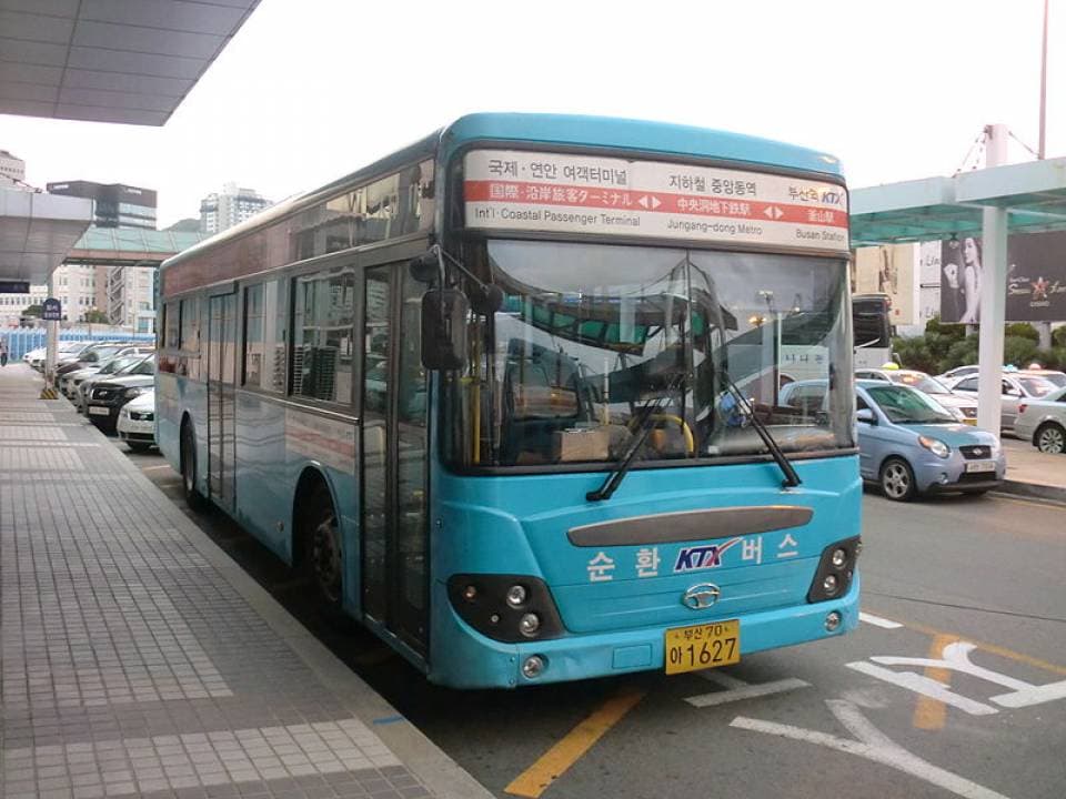 Nami Island Shuttle Bus Transfers from Seoul - image 6