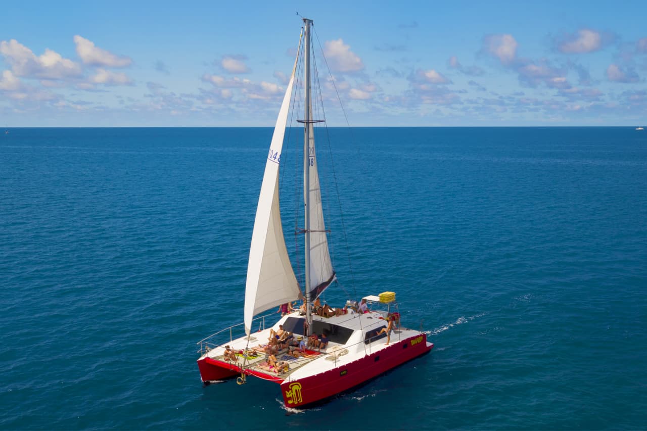 Tongarra Day Sailing Tour - image 15