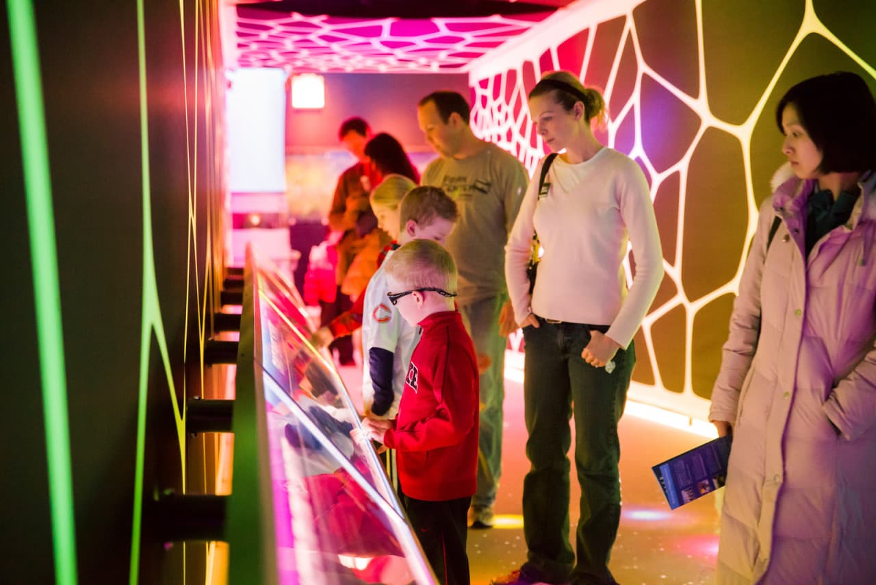 Go City Chicago All-Inclusive Pass: Ahorre hasta un 50% en atracciones - imagen 31