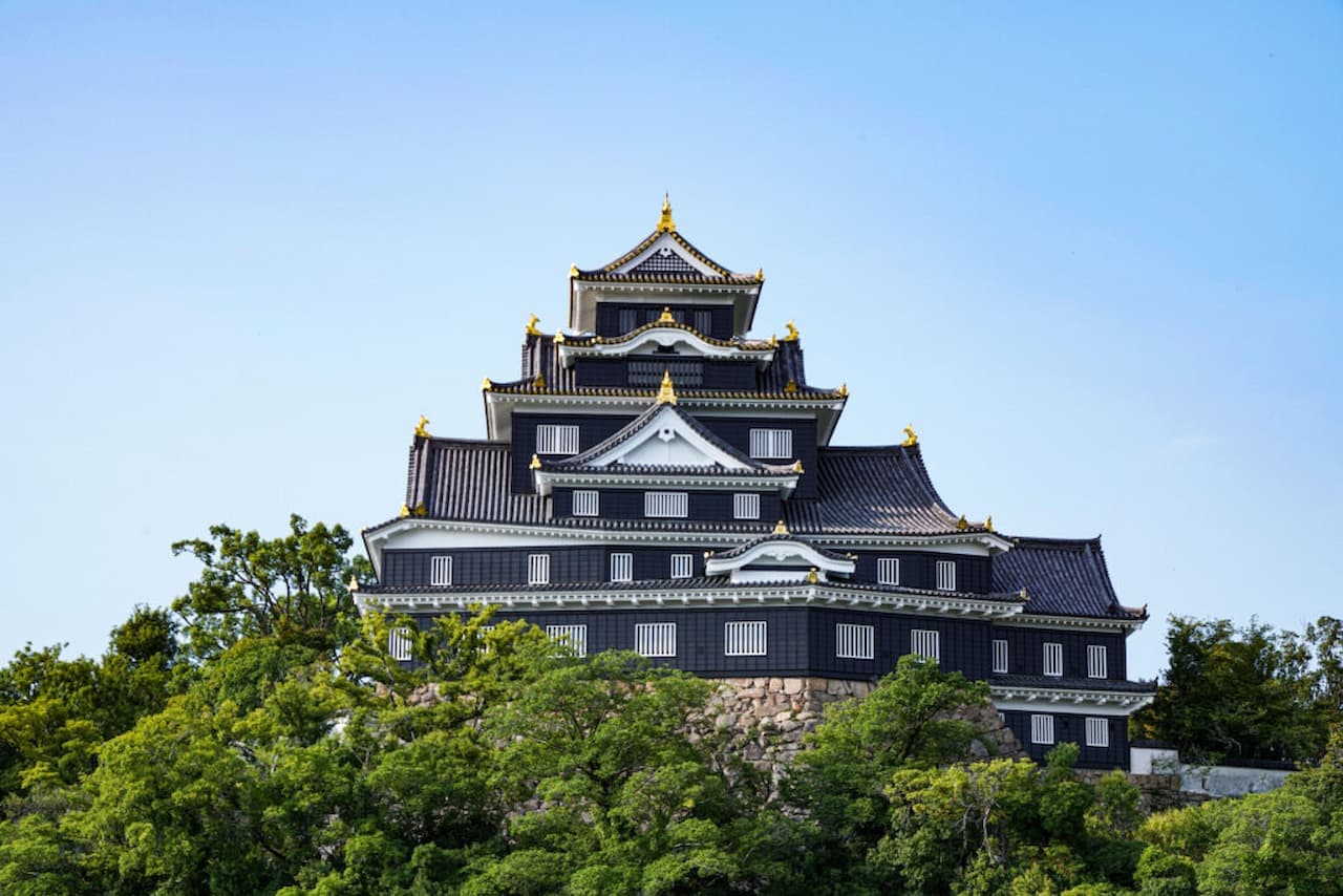 Okayama Castle Ticket - image 4