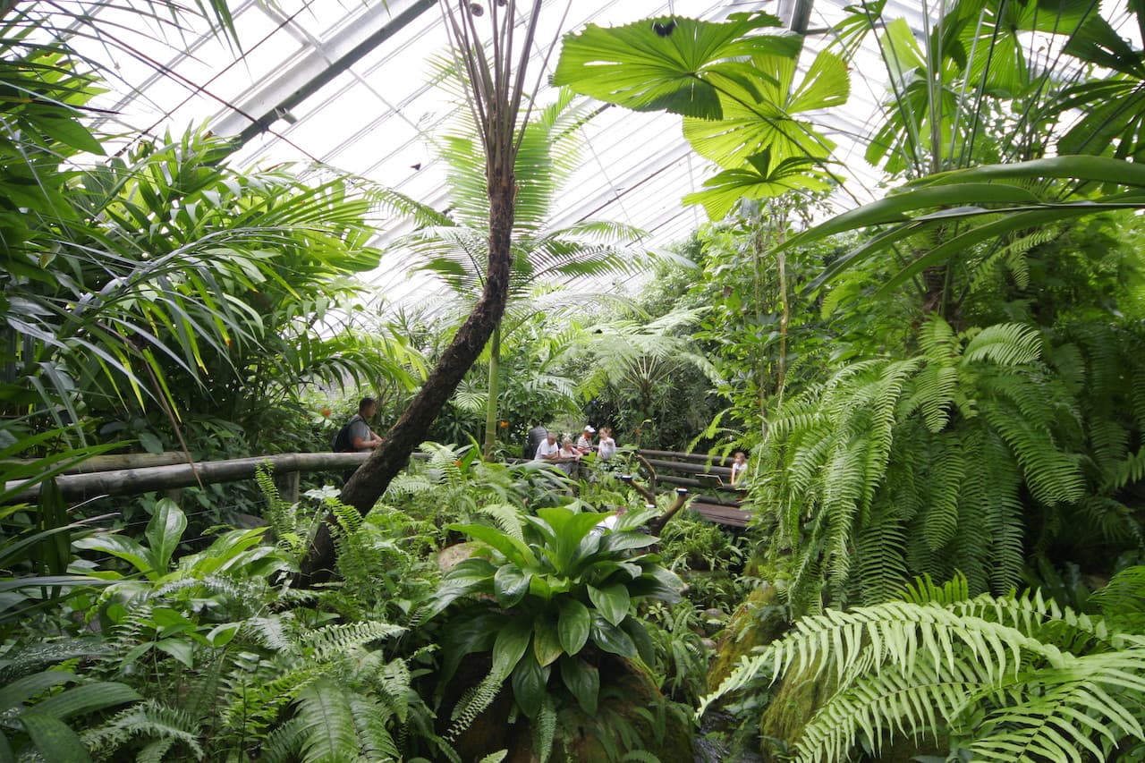 Australian Butterfly Sanctuary - image 7