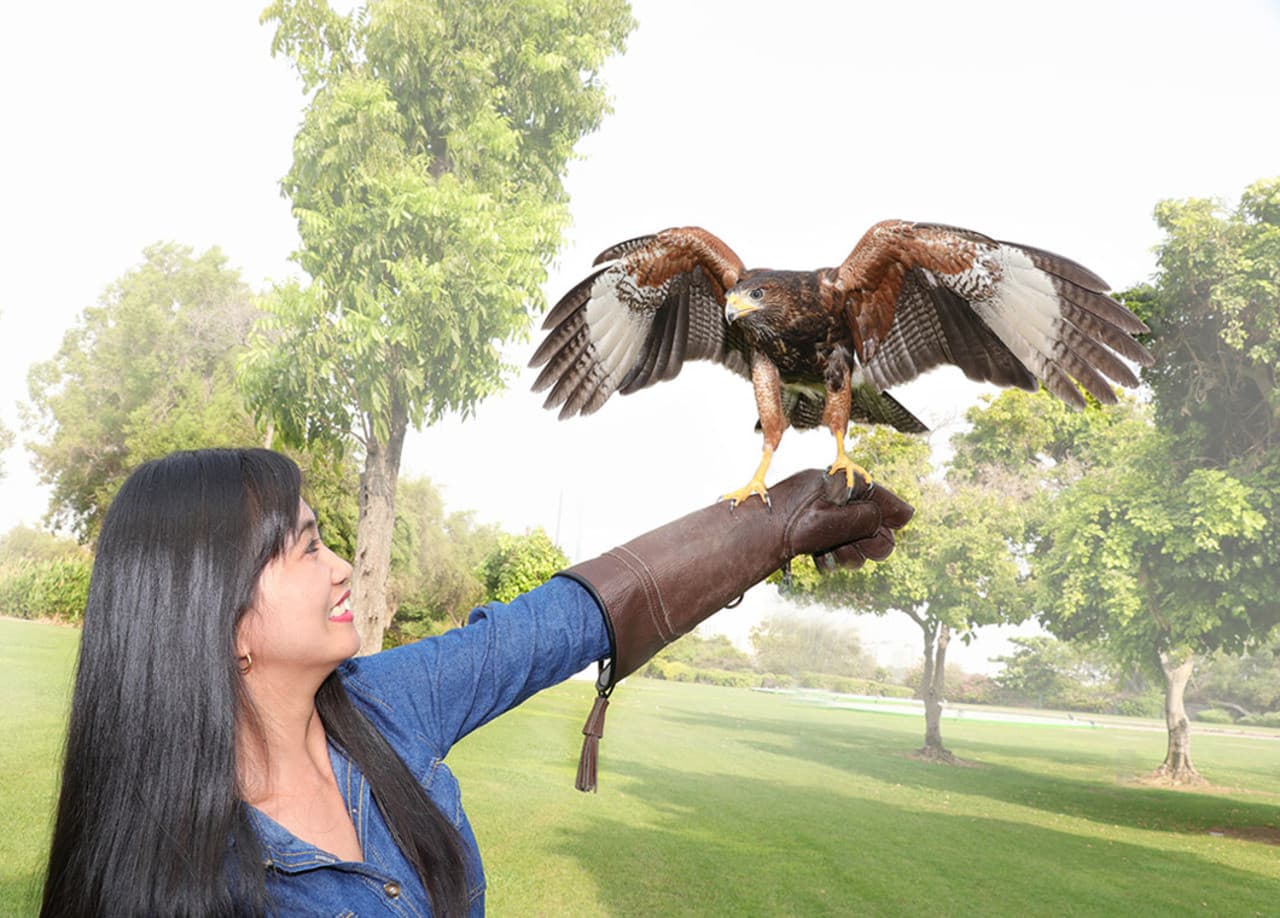 Dubai Dolphinarium Ticket - image 19