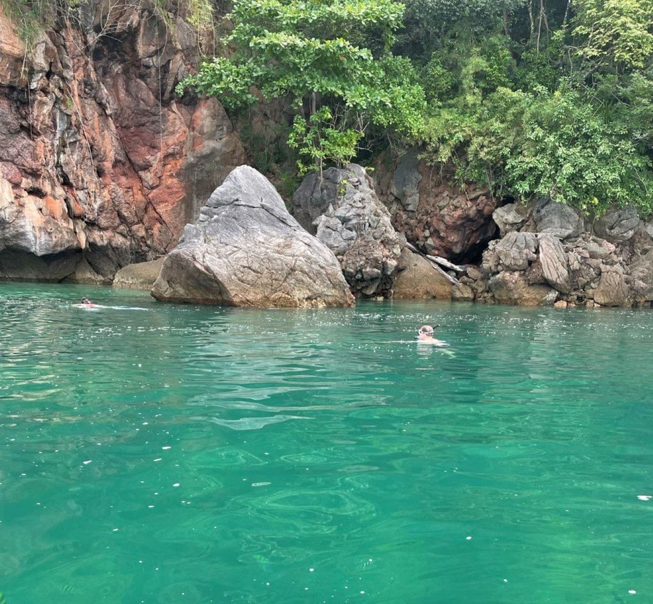 Langkawi Mangrove River Cruise and Snorkeling - image 6