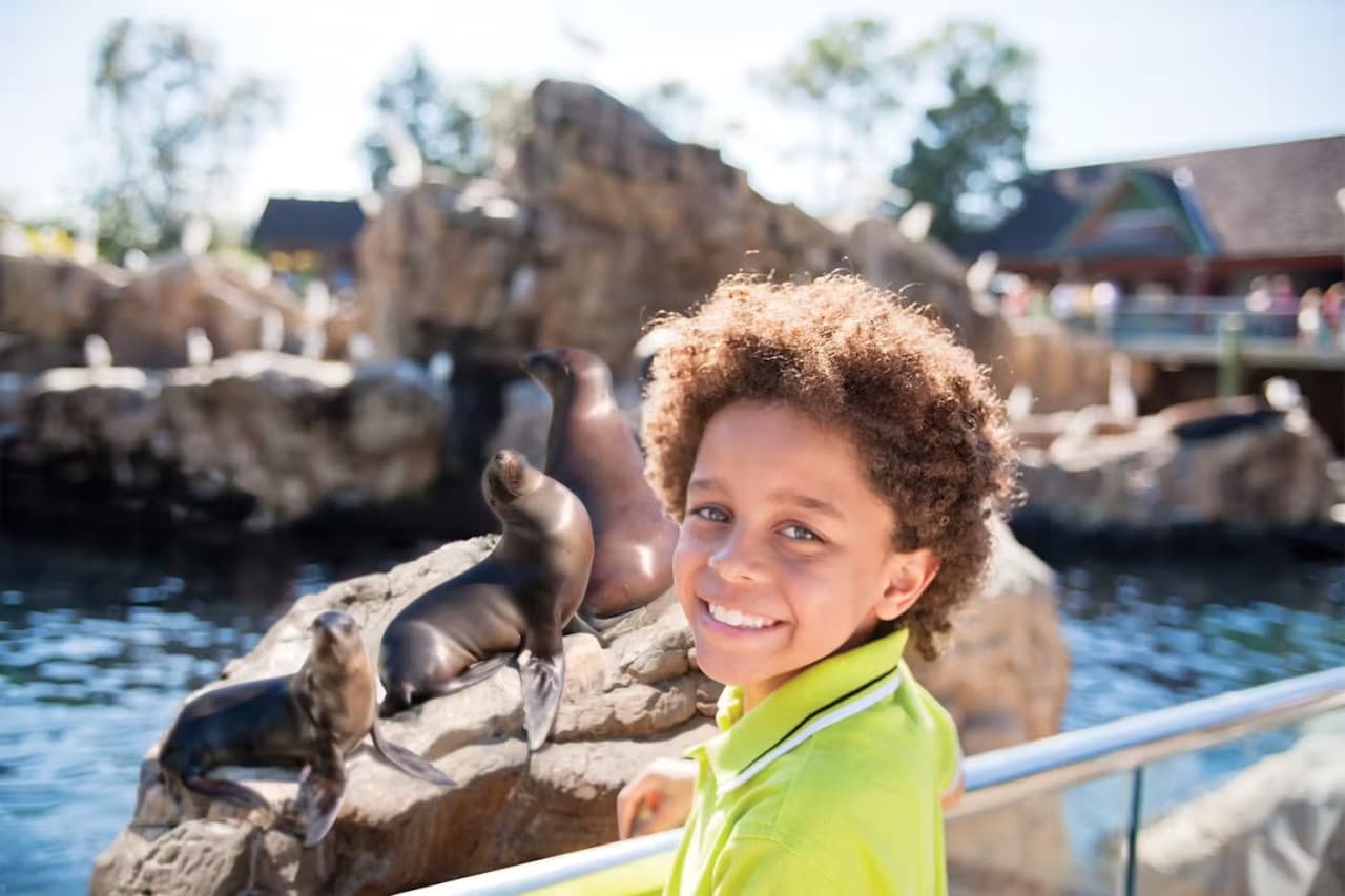 Entrada a SeaWorld San Diego: acceso directo - imagen 15