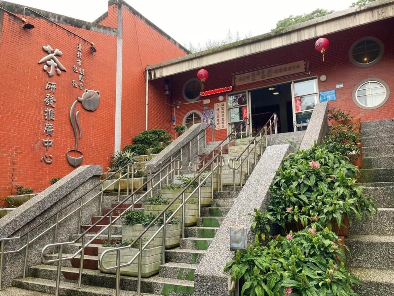 Pinglin Tea Culture and Maokong Full-Day Tour from Taipei - imagen 10