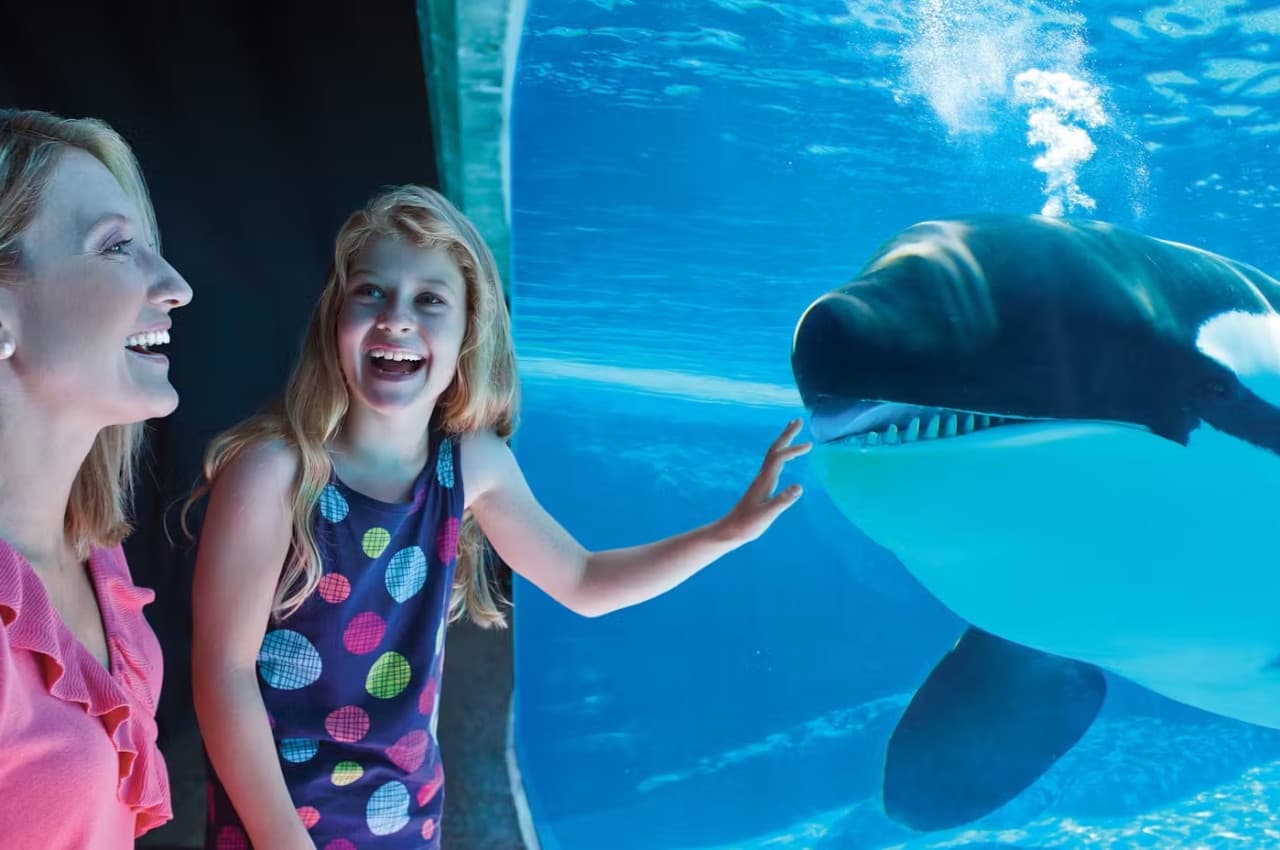 Entrada a SeaWorld San Diego: acceso directo - imagen 11