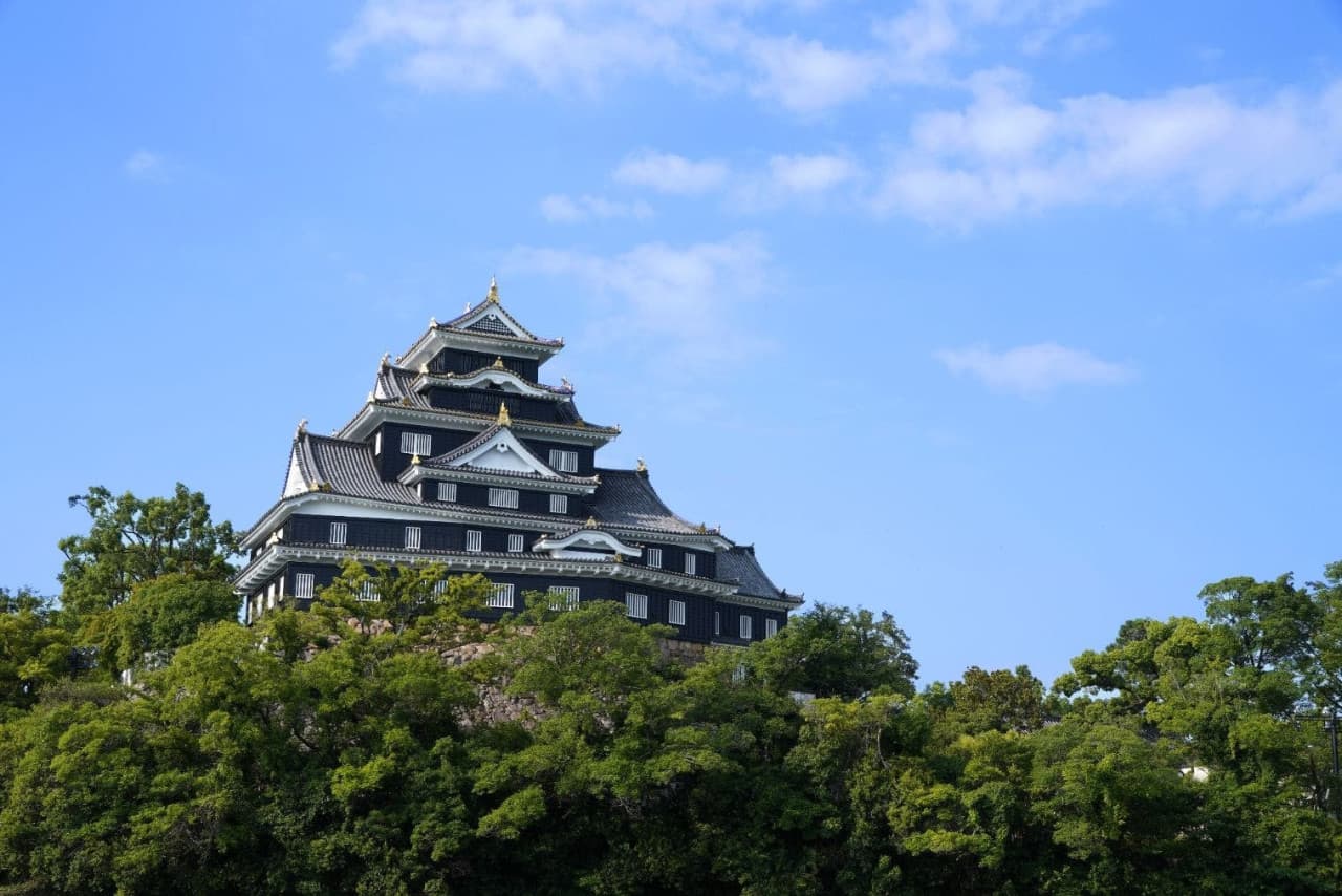 Okayama Castle Ticket - main image